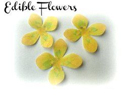 24 Assorted Rainbow Colors Decorative Wafer Paper Flowers&copy; Very Small, Mini 1.25&quot; Size Cake Toppers N8