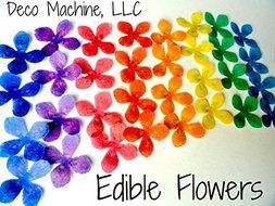 24 Assorted Rainbow Colors Decorative Wafer Paper Flowers&copy; Very Small, Mini 1.25&quot; Size Cake Toppers N9