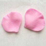 Allforhome Sugarcraft Art ROSE Flower PETALS Veiner Fondant icing silicone icing mould candy mold, non stick Sugar...