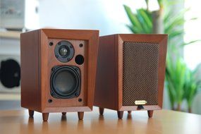 Irregula Speaker N2