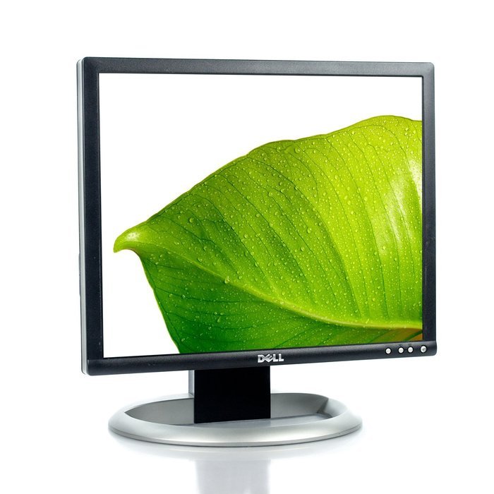 19" Dell 1905FP DVI/VGA LCD Monitor w/USB (Silver/Black)