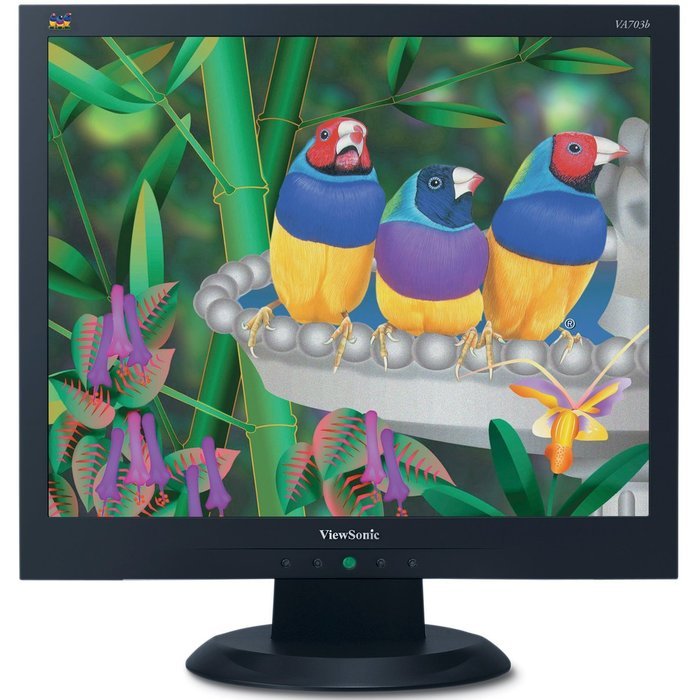 Viewsonic VA703b 17-Inch LCD Monitor free image download