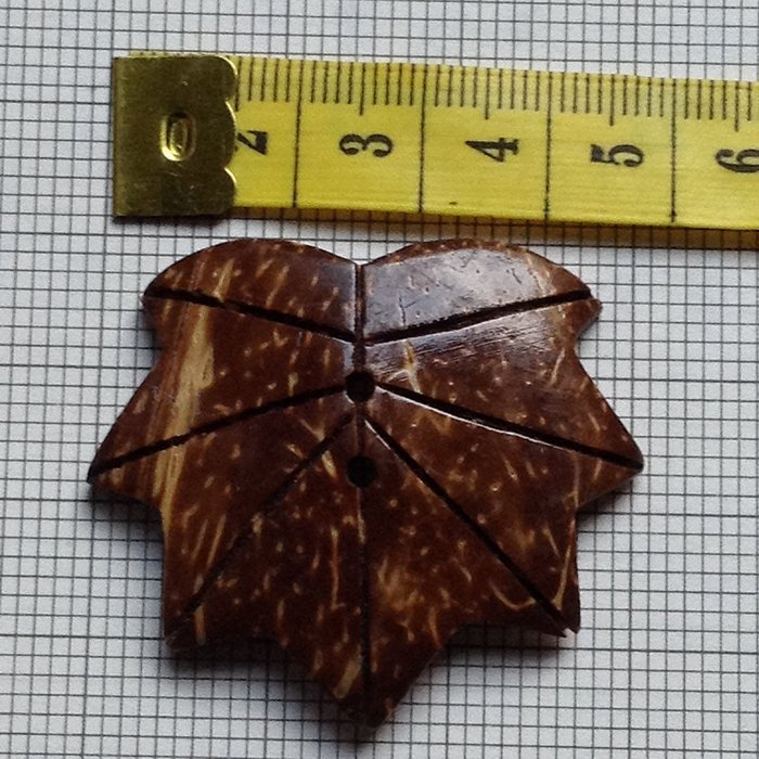 Coconut shell buttons 'Wood of Beauty'