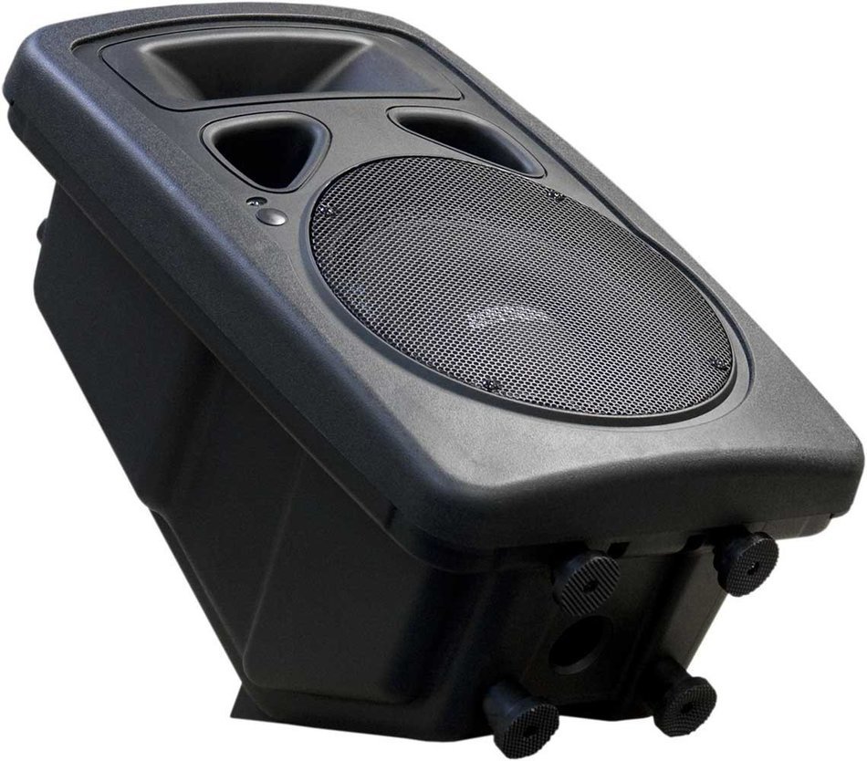Earthquake Sound DJ-10M 2-Way Monitor/PA Speaker (Black) N4