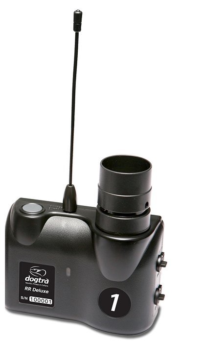 Extra Receiver (D-RCV) -