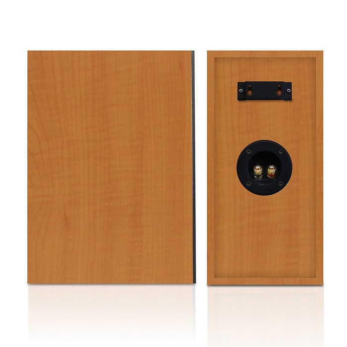 Fluance SV10S High Fidelity Surround Sound Speakers N3