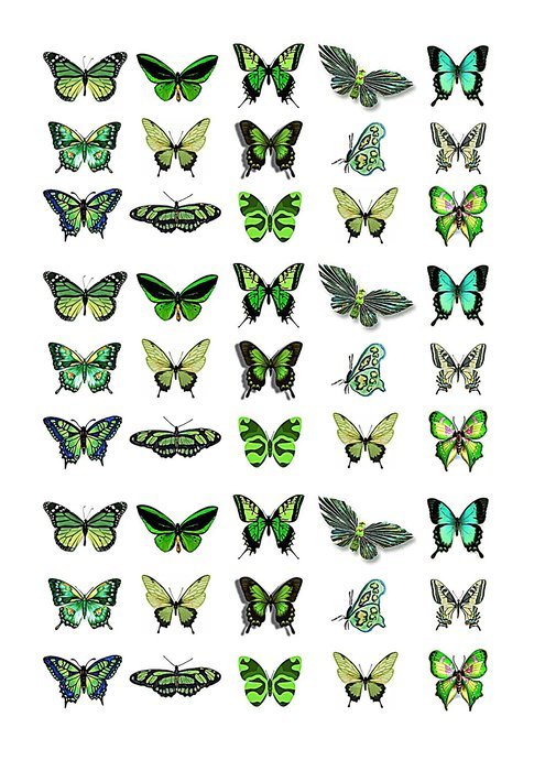 Cakeshop 45 x Green Butterflies Edible Cake Toppers
