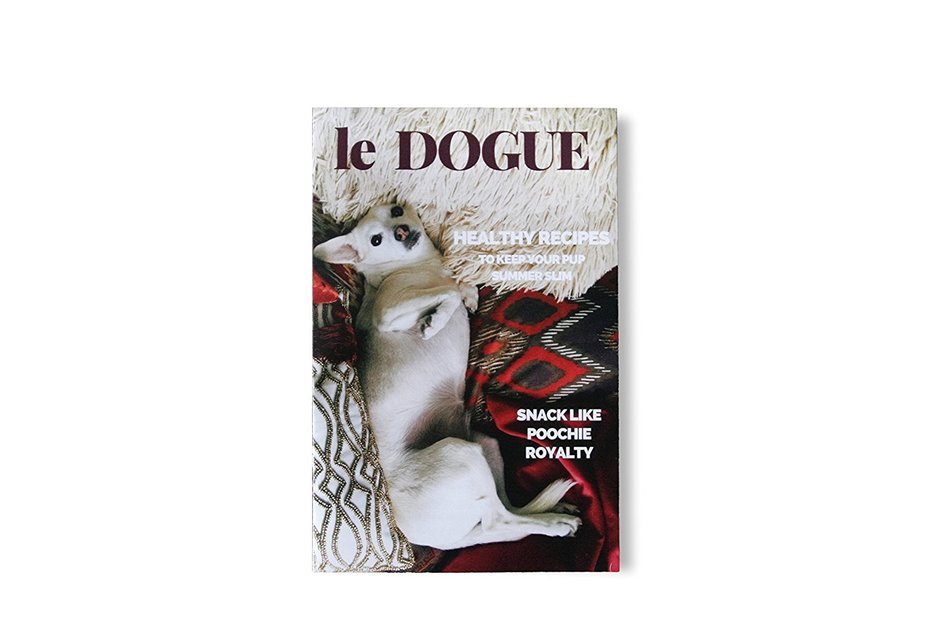 Food Grade Silicone Dog Paw Mold With Recipe Booklet