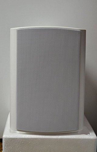 Oasis 2 way outdoor speaker #OL-6WT