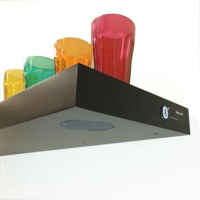 31.5 in. x 9.25 in. 2-Speaker Black Music Shelf N2