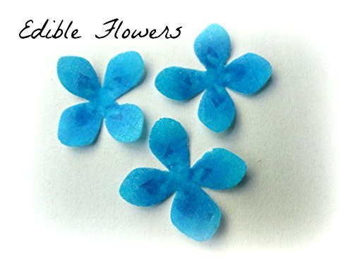 24 Assorted Rainbow Colors Decorative Wafer Paper Flowers&copy; Very Small, Mini 1.25" Size Cake Toppers N6