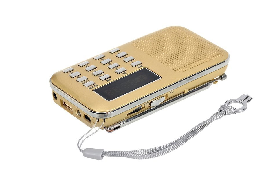 eJiasu Digital Mini FM Radio with SD/USB/TF /MP3 Format Music Player (Gold) N6