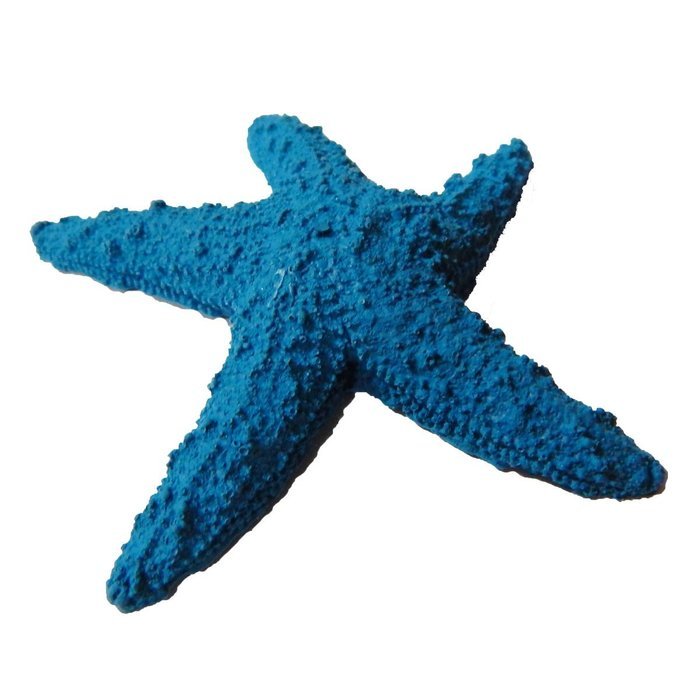 Silicone Molds Small Sugar Starfish Flexible Silicone Mold Fondant Resin Soap M4936 By Ok Molds