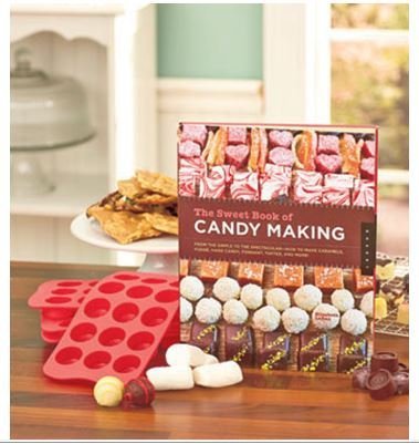 Candy Making Bundle with Heart / Round Candy Molds and "The Sweet Book of Candy Making" N3