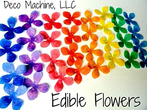 24 Assorted Rainbow Colors Decorative Wafer Paper Flowers&copy; Very Small, Mini 1.25" Size Cake Toppers N9