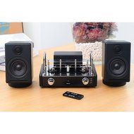 Blue Aura - V30 - Vacuum Tube Amplifier System N2