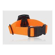 Pet Digital Video Camera &amp; Recorder