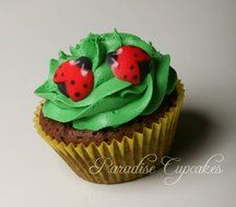 Set of 12 Edible Sugar Ladybug Toppers for Cakes or Cupcakes N2