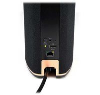 Klipsch RW-1 Wireless Speaker, Black (Pair) N2