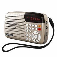 Rolton Portable Digital MP5 Player TF USB Disk Radio Speaker(Blue)