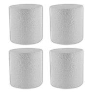 Cake Dummy Round, 4 x 4 Inches, 4 Count by GSA N2