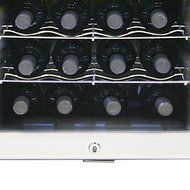 Whynter WC28S SNO 28 Bottle Wine Cooler, Platinum with Lock N2