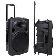 Leesons Inc. Portable 150W Active PA 15" Speaker Mic Guitar AMP Bluetooth USB SD LCD FM Remote N3