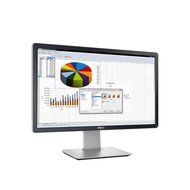 Deltatouch Privacyview PVS2000 20in LED Privacy Monitor with Integrated 3M Privacy Filter:...