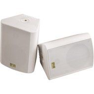 5.25" White Cabinet Speaker