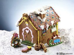 Silikomart HSH01 Silicone Let's Celebrate Bakeware Collection Cake Pan, Gingerbread N5