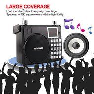 NEWGOOD Wireless Remote Control Outdoor Portable Bass Player Speaker With Digital Numbers Buttons And Voice Recorder... N3