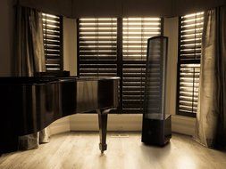 Martin Logan Montis 110v Black Ash - Black Airframe - pair N2