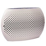 Portable Mini Dehumidifier Special For Piano N4