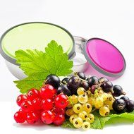 Fit &amp; Fresh Chiller Single Layer Bowl Packaged Set By Guardians, 3 Cups Professional with Lids Stainless Steel... N7