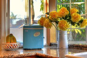 NewAir AI-100R 28-Pound Portable Icemaker, Red N25