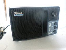 AN-100 Powered Monitor Speaker System