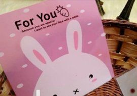 ONOR-Tech 100 PCS Lovely Cute OPP Self Adhesive Cookie Bakery Candy Biscuit Treat Gift Diy Plastic Bag (Flower) N36