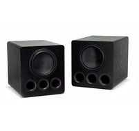 SVS PB12 Plus 12-inch 800 Watt Powered Subwoofer (Piano Gloss Dual Subs) N4