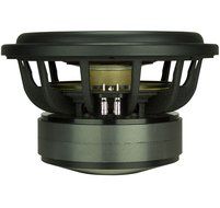 SVS PB12 Plus 12-inch 800 Watt Powered Subwoofer (Piano Gloss Dual Subs) N5