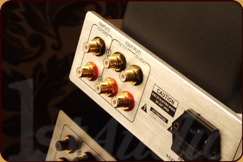 YAQIN MS12B 12AX7 X2 TUBE PreAmplifier Integrated Amplifier and Phono Stage N8