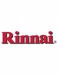 Rinnai EX11 Direct Vent Furnace Natural Gas
