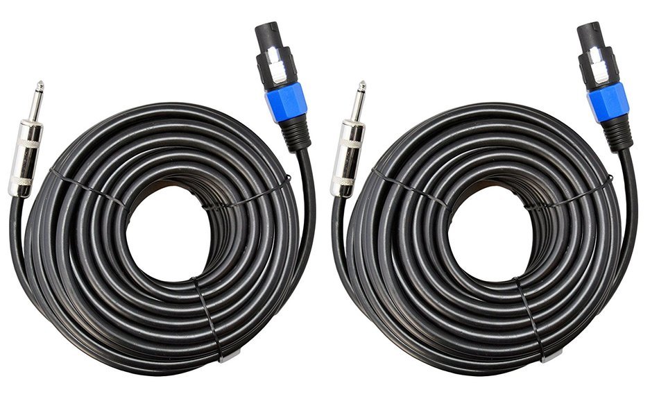 Ignite Pro 2x Speakon to 1/4" 50 Ft. True 12 Gauge Wire AWG DJ/ Pro Audio Speaker Cable, Pair