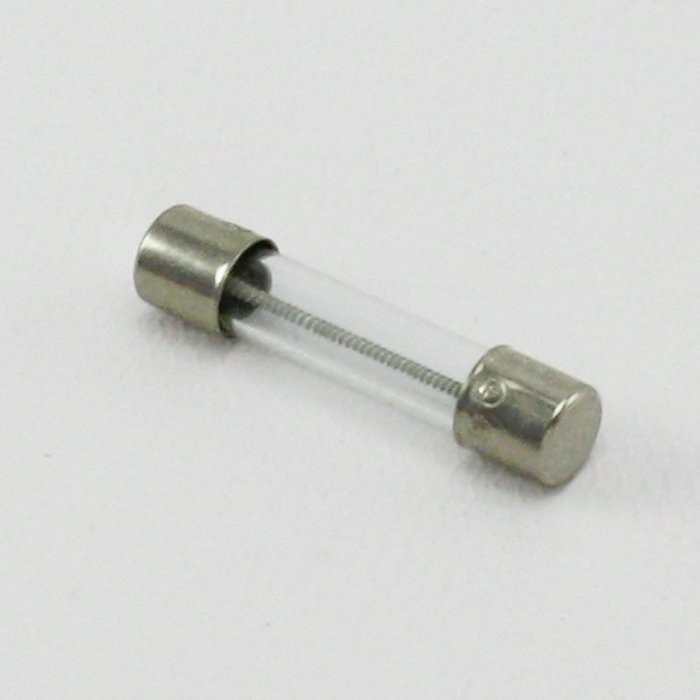 Genuine OEM 479598 Fisher & Paykel Fuse for Washers & Dryers