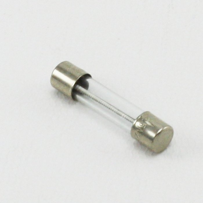 Genuine OEM 479598 Fisher & Paykel Fuse for Washers & Dryers N2