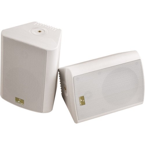 5.25" White Cabinet Speaker