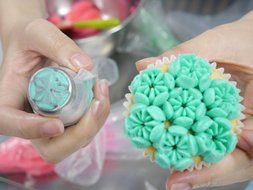 23 Piece Set Cake Decorating Tips Russian Decorating Tips Piping Pastry Tips Stainless Steel 23 piece Coupler,... N2