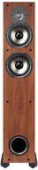 Polk Audio Monitor-55T Two-Way Floorstanding Speaker (Black, Single)