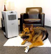 NewAir AC-10000E 10,000 BTU Portable Air Conditioner With Auto Evaporative Technology N4