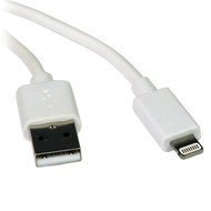 Tripp Lite Apple MFI Certified 10-Feet 3M Lightning to USB Cable Sync Charge iPhone/iPod/iPad - Black (M100-010... N10