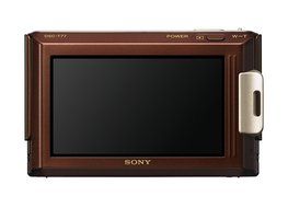 Sony Cybershot DSC-T77 10MP Digital Camera with 4x Optical Zoom with Super Steady Shot Image Stabilization (Pink) N23